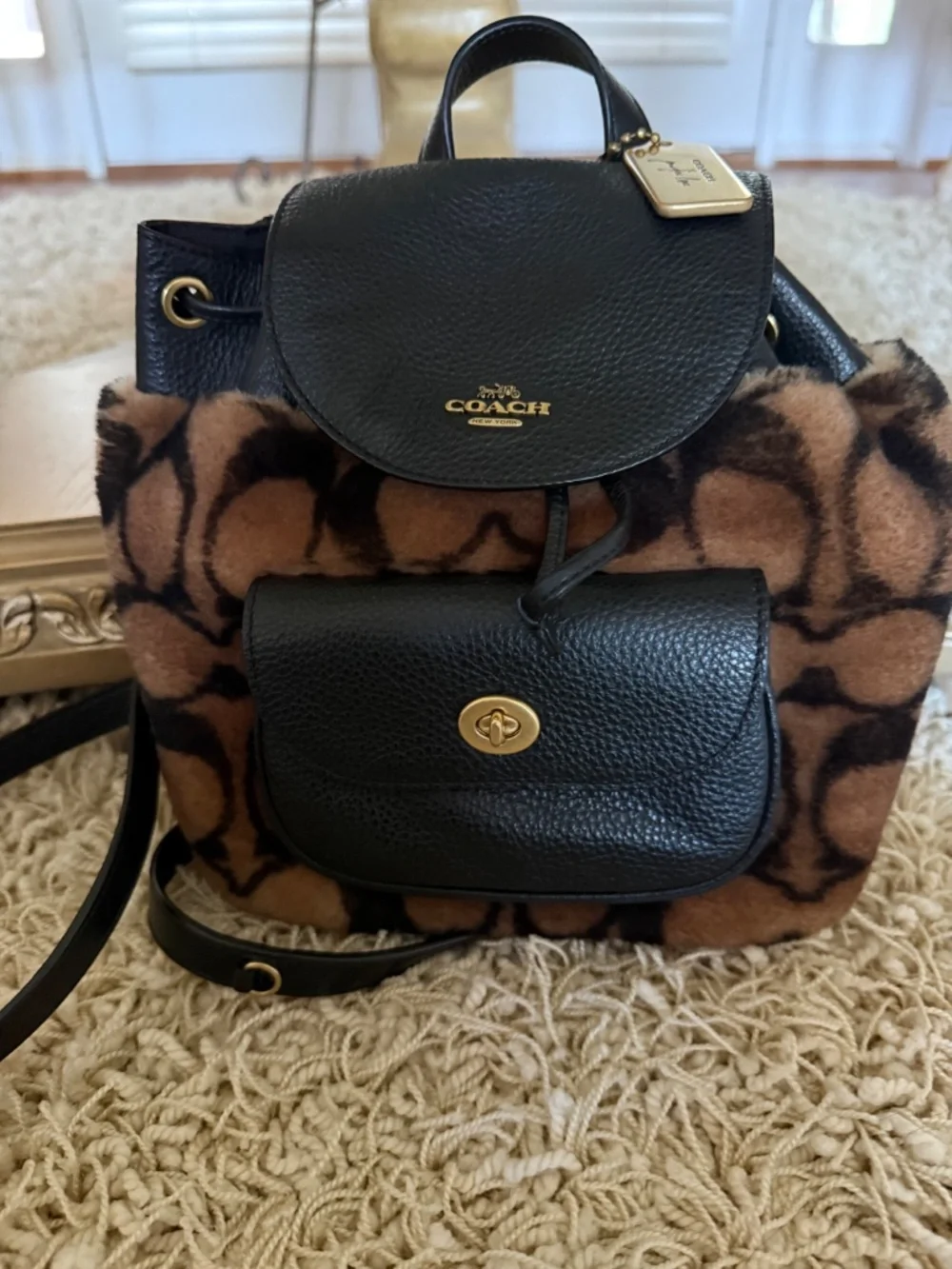 Coach X Jennifer Lopez Pennie 22 In Signature Shearling Chain Strap Backpack